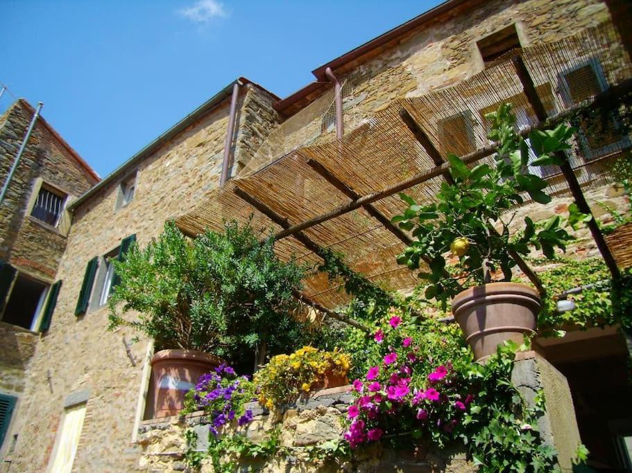 Near The Sea Big Panoramic House 2 Terraces In Lovely Village Montiano  Exteriör bild