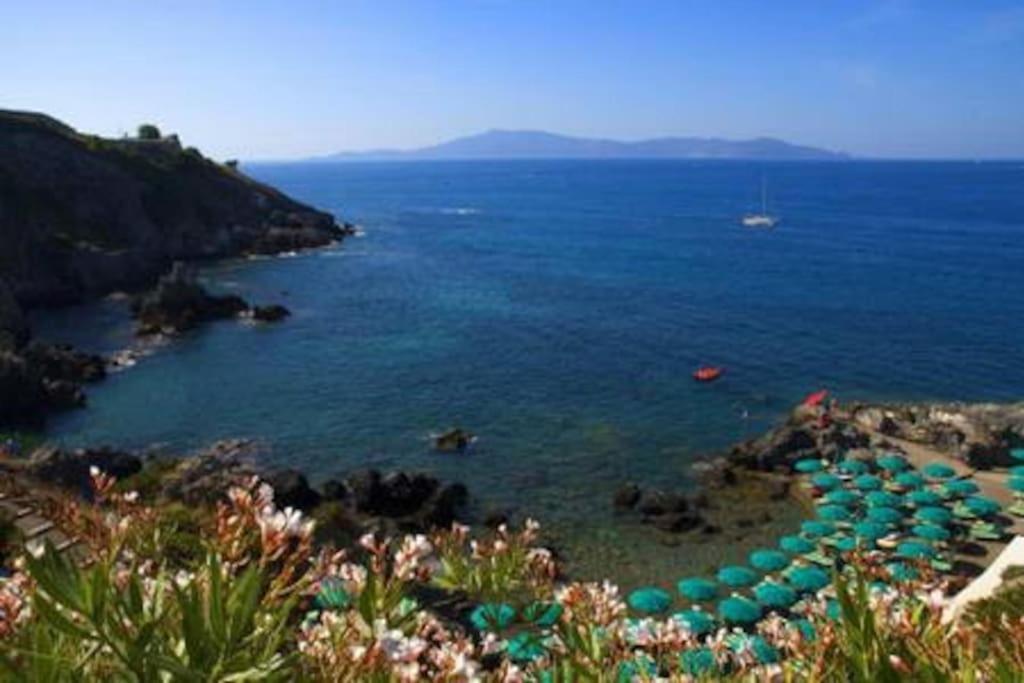 Near The Sea Big Panoramic House 2 Terraces In Lovely Village Montiano  Exteriör bild